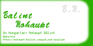balint mohaupt business card